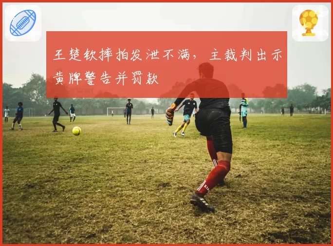 王楚钦摔拍发泄不满，主裁判出示黄牌警告并罚款