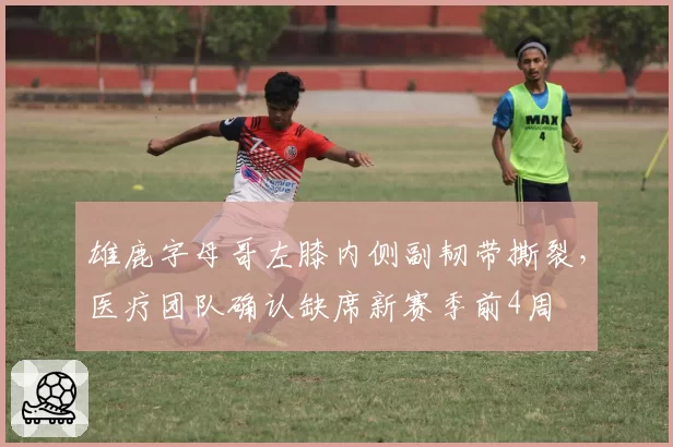 雄鹿字母哥左膝内侧副韧带撕裂，医疗团队确认缺席新赛季前4周