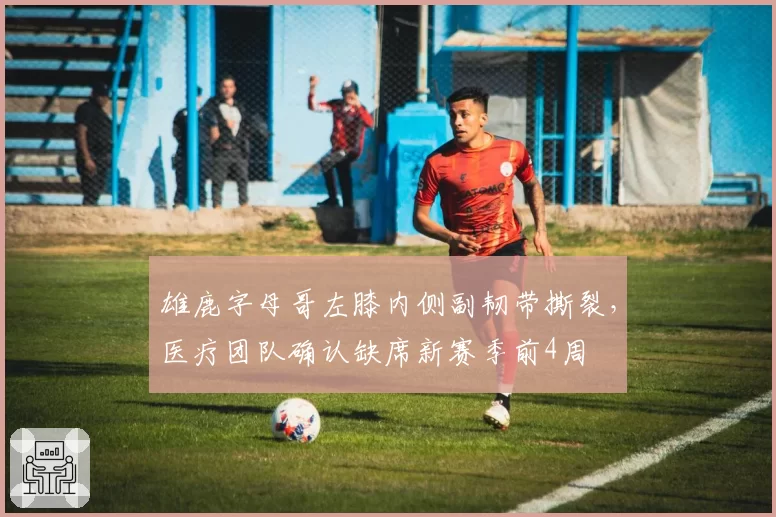 雄鹿字母哥左膝内侧副韧带撕裂，医疗团队确认缺席新赛季前4周