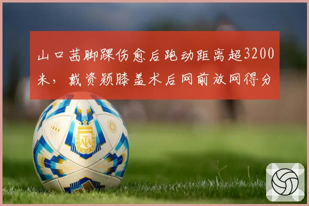 山口茜脚踝伤愈后跑动距离超3200米，戴资颖膝盖术后网前放网得分率仅15%成隐患